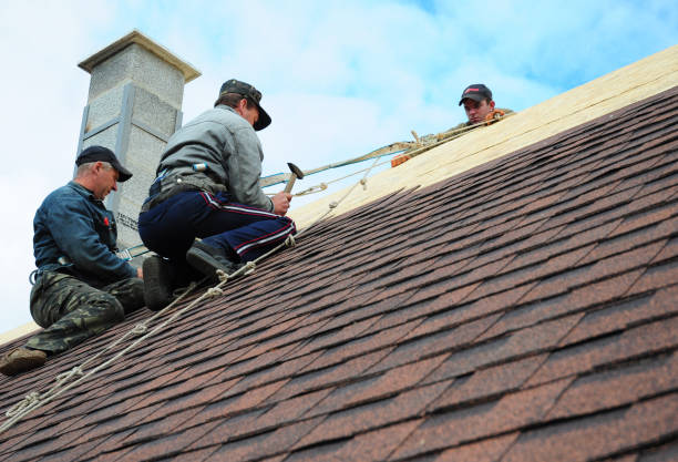 Best Gutter Installation and Roofing  in Elyria, OH
